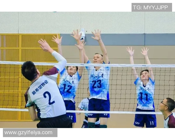 杭州排球队在全国排球意识排行榜中荣获第五名的辉煌成就