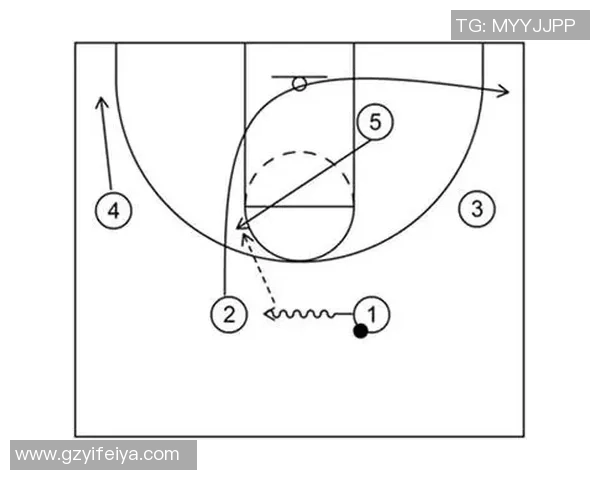 武汉篮球队意识对比深度解析与战术发展探讨