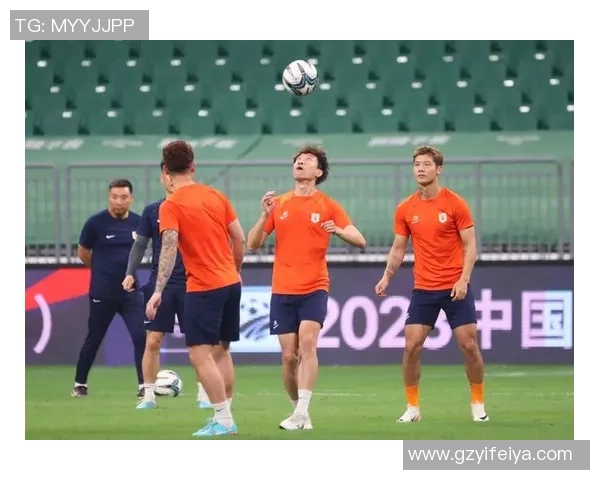 南京排球队杯赛表现分析团队配合与战术执行的关键因素探讨